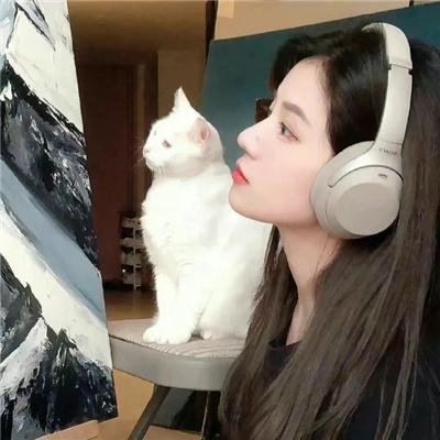 神台猫粤语