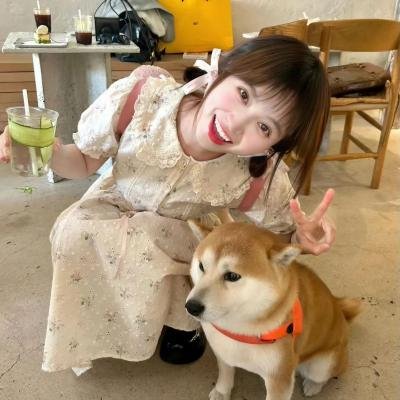 不负时光